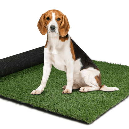 Turf mat hot sale for dogs